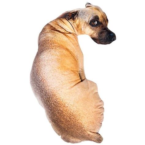 Temu dog pillow - Shop dogs plush pillow dogs at Temu. Make Temu your one-stop destination for the latest fashion products. Today's best daily deals. Free shipping. On all orders. 1; 4: 4; 6: 4; 3; Free shipping On all orders. 1; 4: 4; 6: 4; 3; Free returns. Within 90 days.